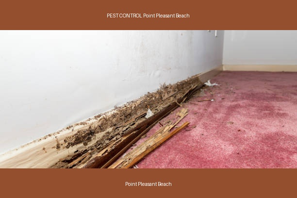 PEST CONTROL Point Pleasant Beach